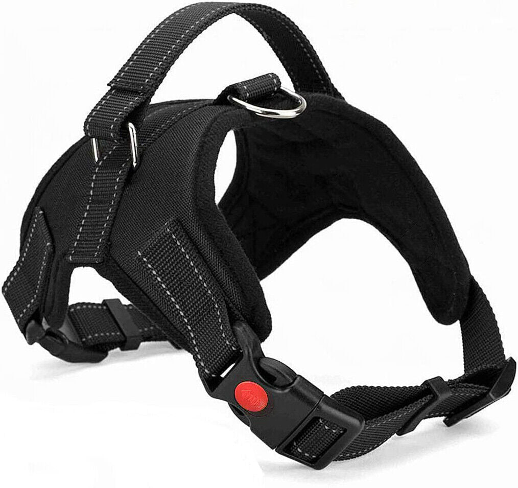No Pull dog Harness for Small, Medium and Large Dogs. 