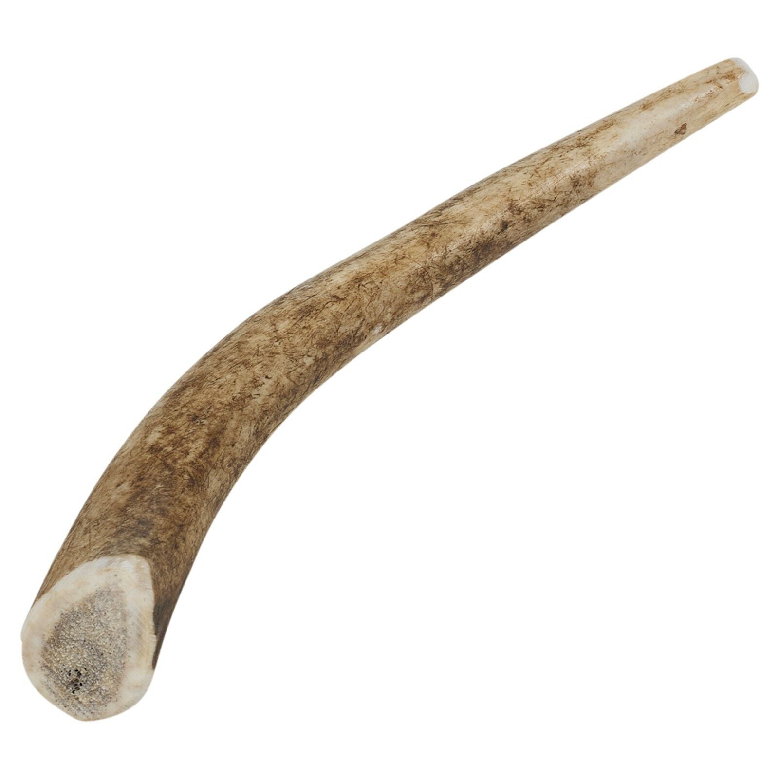 Natural Deer Elk Antler Chew Toy