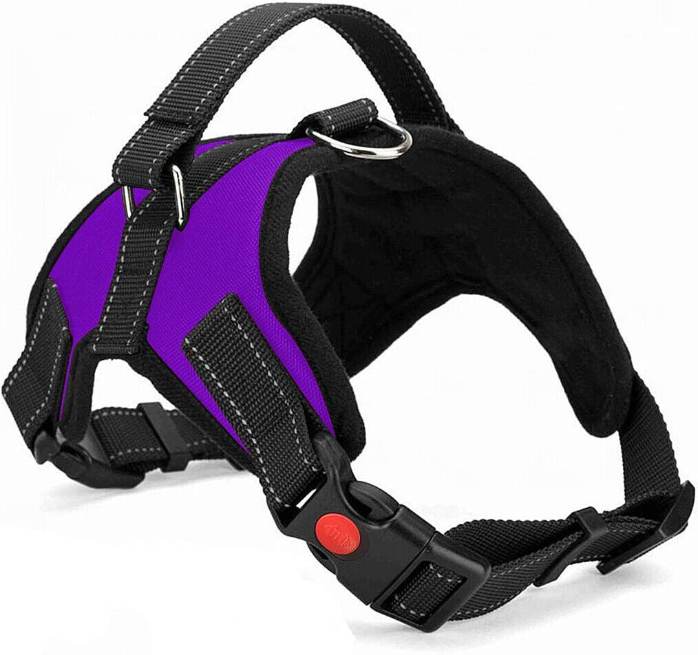 No Pull dog Harness for Small, Medium and Large Dogs. 