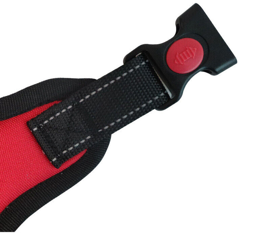 No Pull dog Harness for Small, Medium and Large Dogs. 