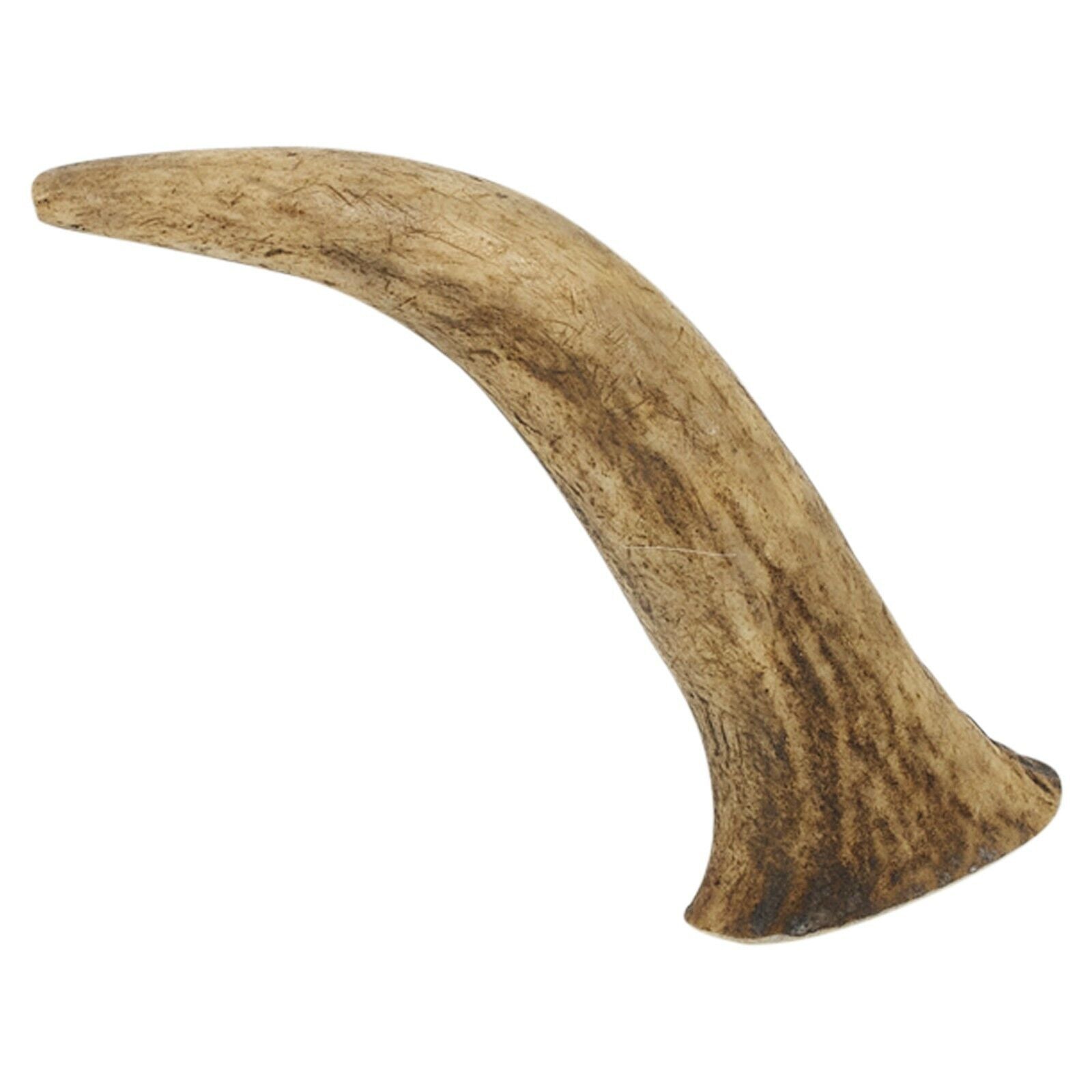 Natural Deer Elk Antler Chew Toy