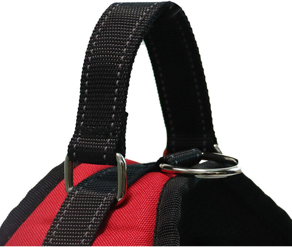 No Pull dog Harness for Small, Medium and Large Dogs. 