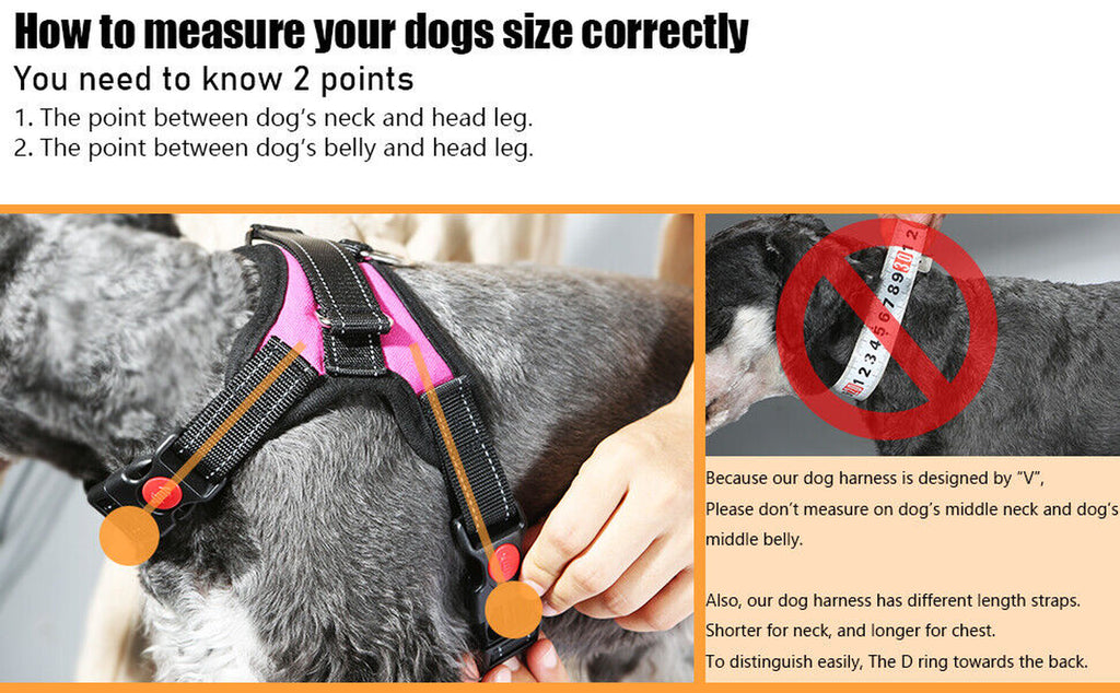 No Pull dog Harness for Small, Medium and Large Dogs. 