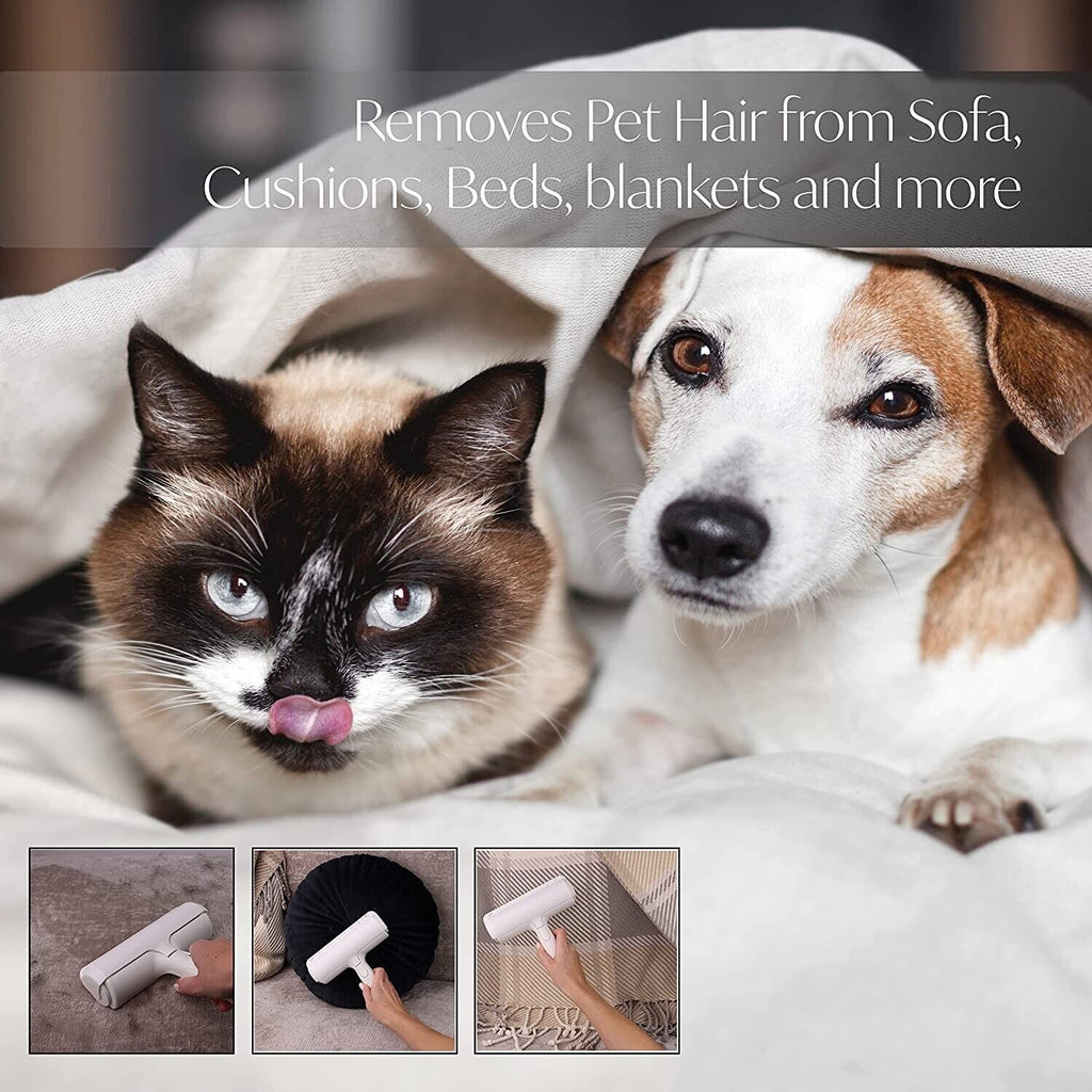 Animal Hair Removal Brush