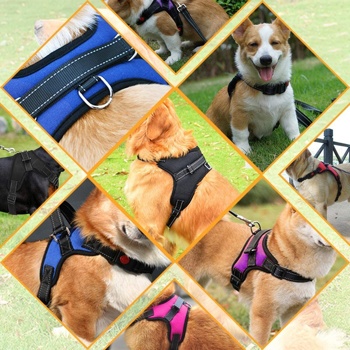 No Pull dog Harness for Small, Medium and Large Dogs. 