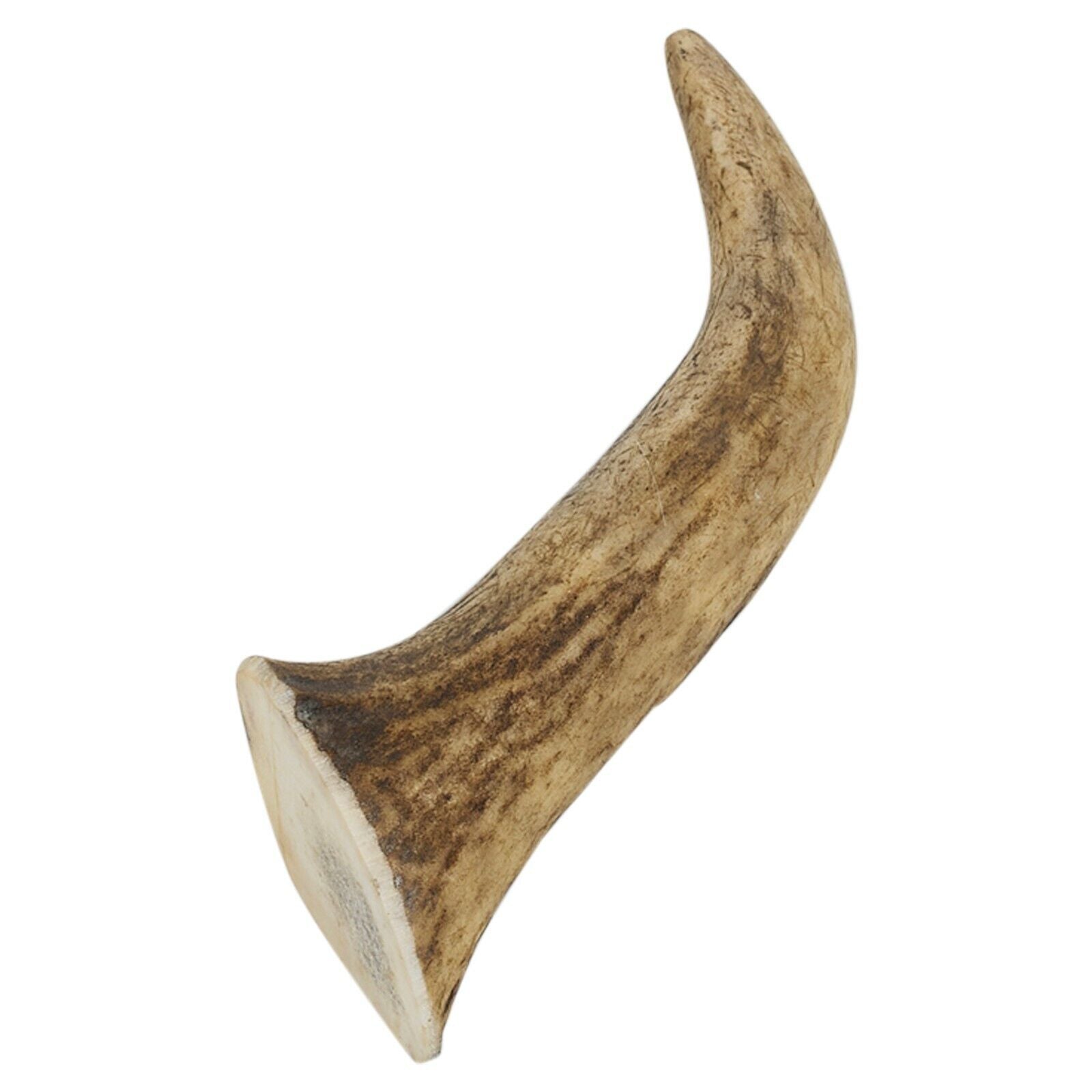Natural Deer Elk Antler Chew Toy