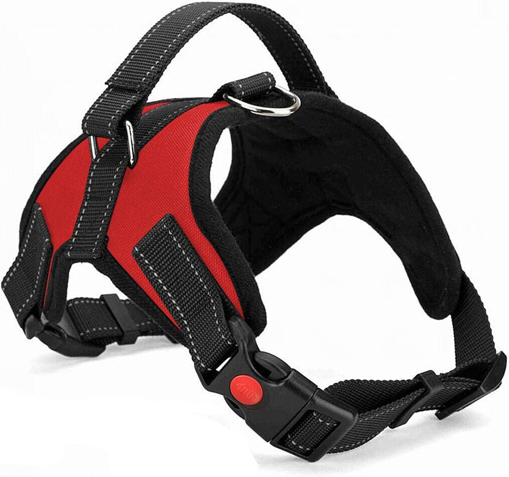 No Pull dog Harness for Small, Medium and Large Dogs. 