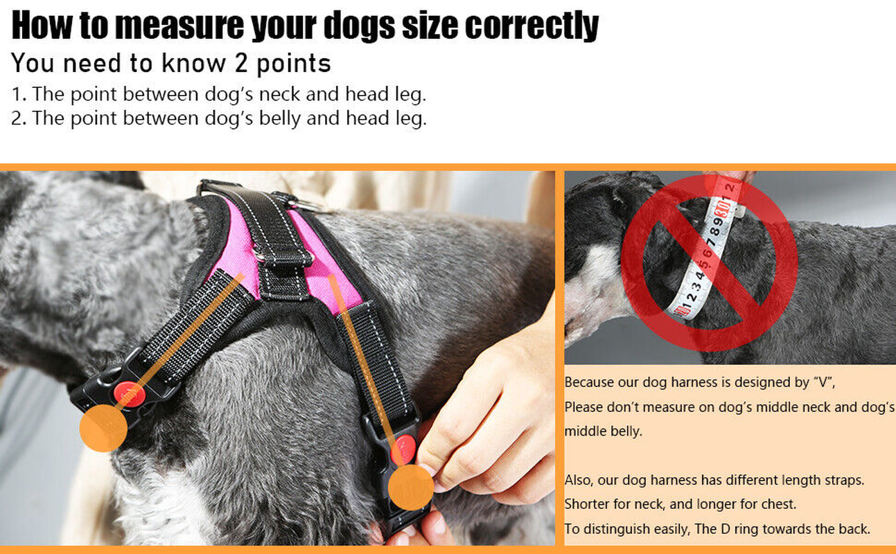 No Pull dog Harness for Small, Medium and Large Dogs. 