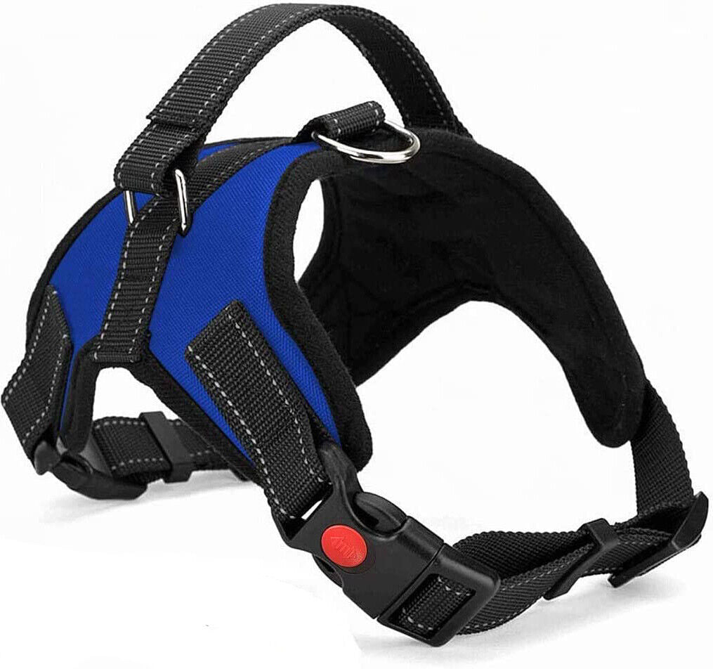 No Pull dog Harness for Small, Medium and Large Dogs. 