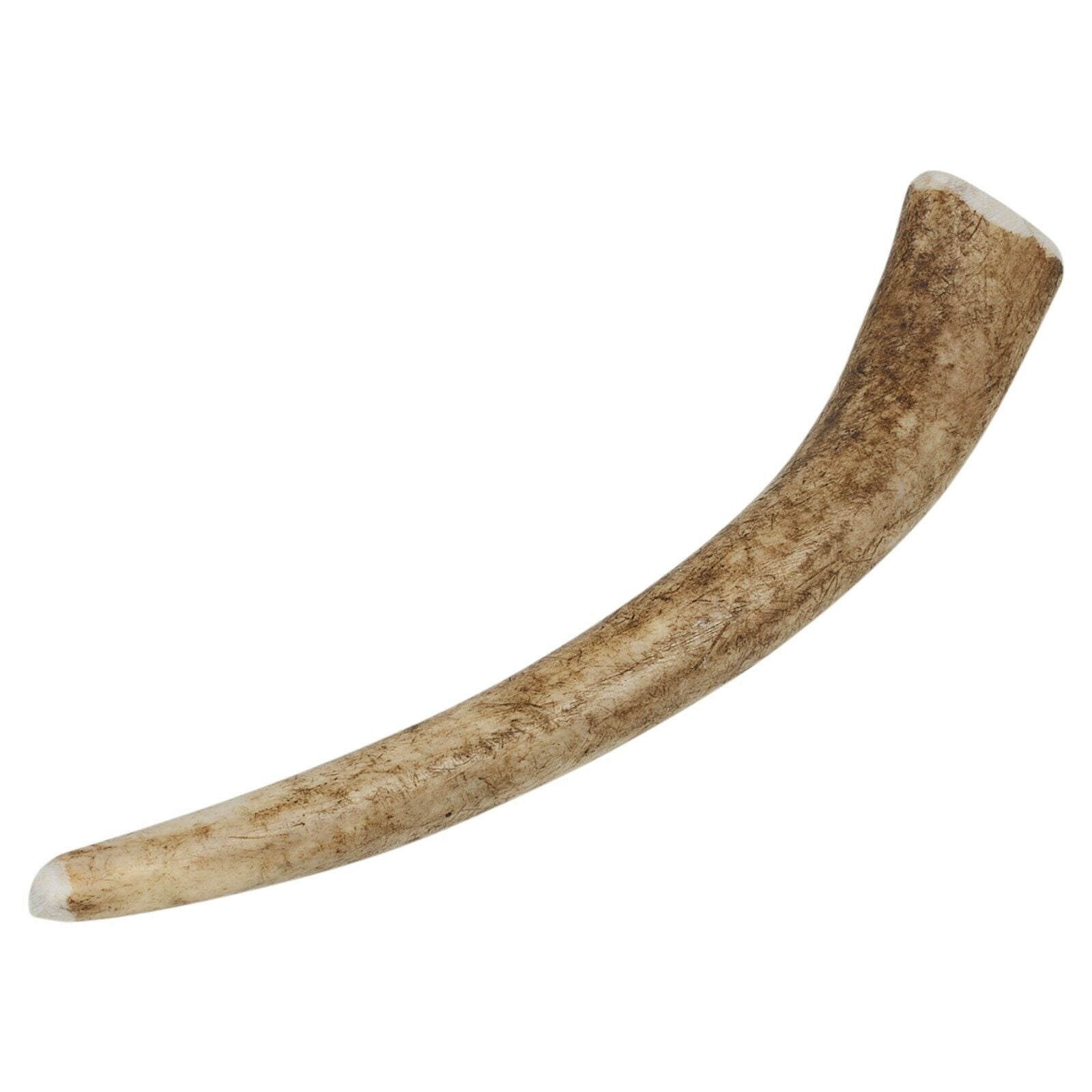 Natural Deer Elk Antler Chew Toy