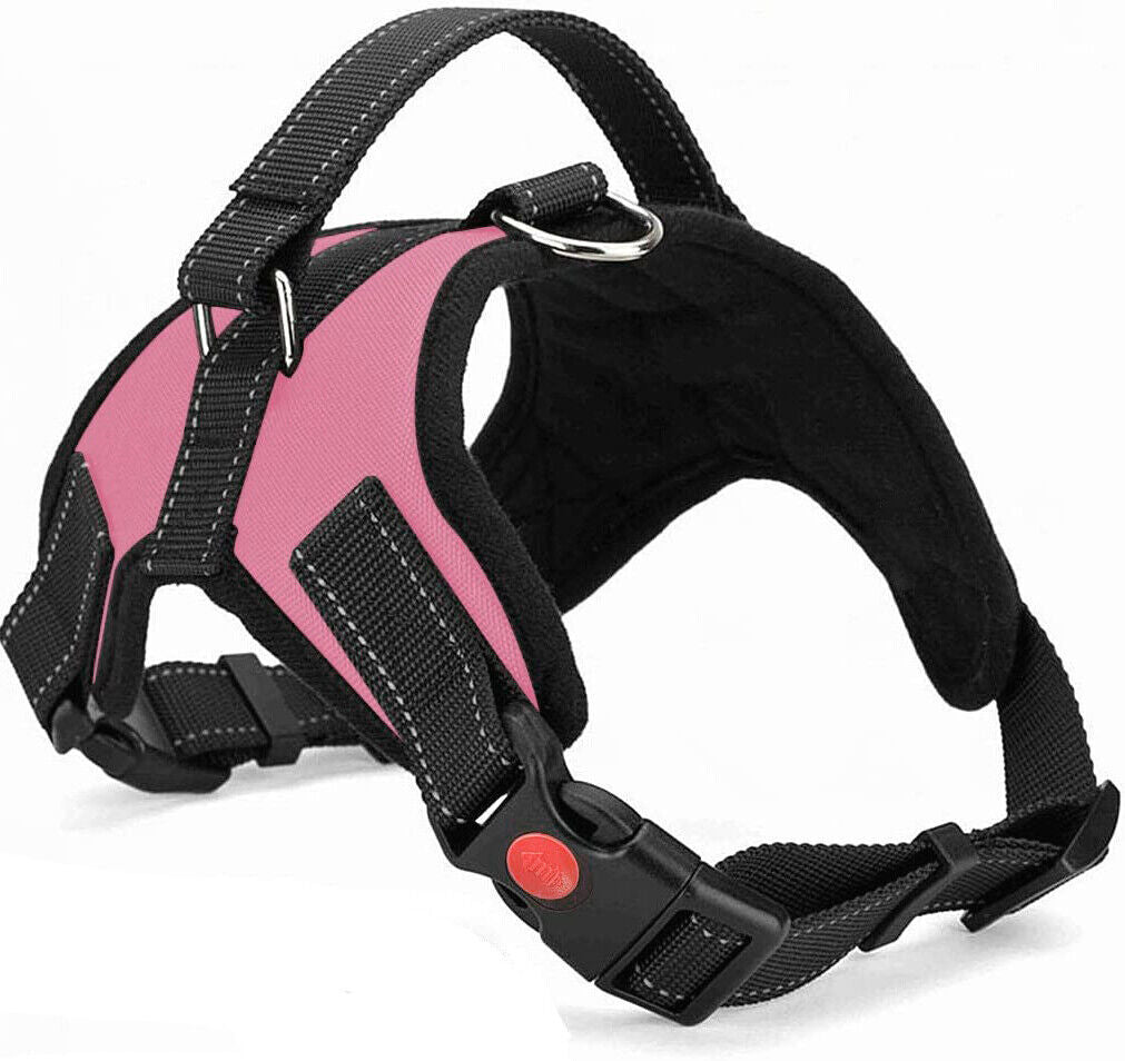 No Pull dog Harness for Small, Medium and Large Dogs. 